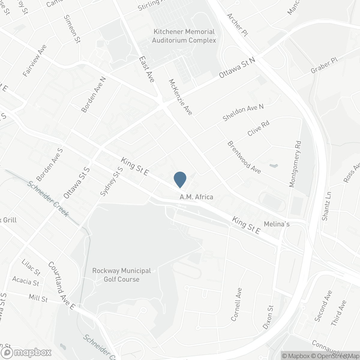 207 - 1414 KING STREET E, Kitchener, Ontario N2G 4T8
